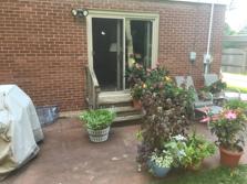 Wheaton deck 2016 (before)